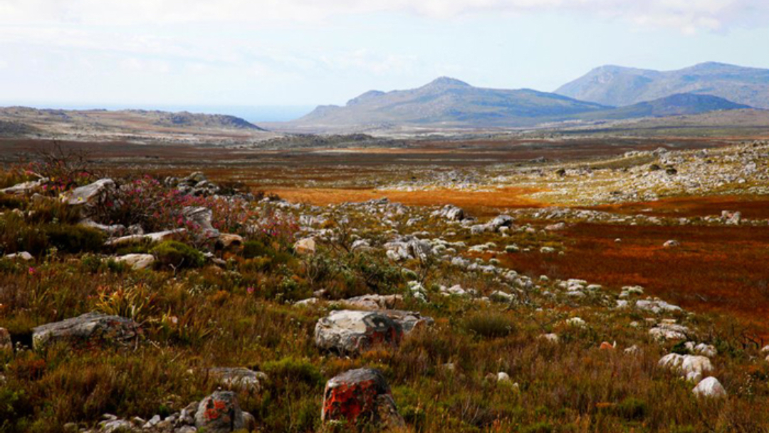 Blog - Real Phtography of Good Hope Cape. BOOCLE