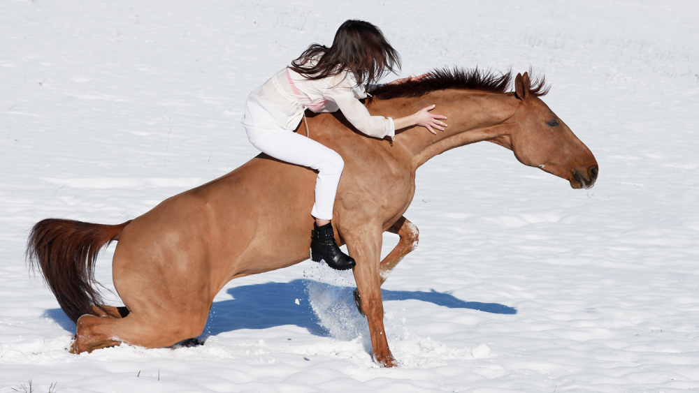 Blog - Real Photography of a free horse riding by a women in the coutryside snow. BOOCLE